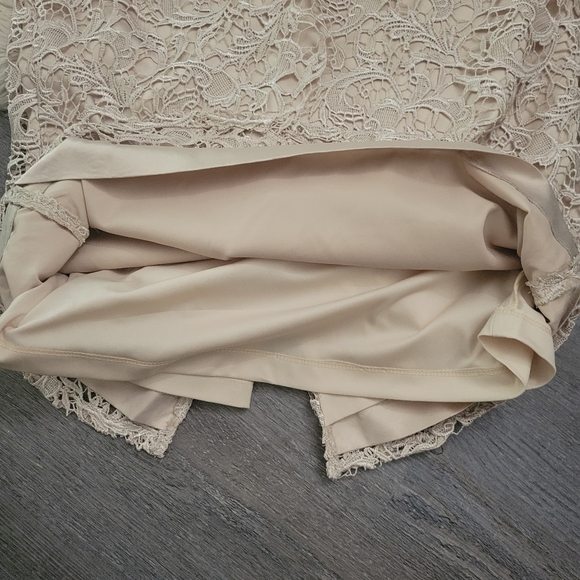 Adrianna PapellCap-Sleeve Illusion Lace Gown Size 14 - Picture 11 of 16